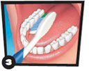 Toothbrush brushing inner surface of teeth